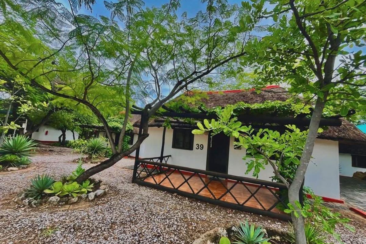 A charming hotel unit featuring a traditional thatched roof, a private tiled patio with timber pergola, and established garden surroundings.