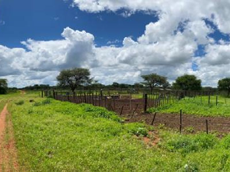 An exceptional opportunity to own a 1260 hectare game farm in the sought-after Hochfeld area – perfect for hunting, eco-tourism, or a private getaway. - Photo 3