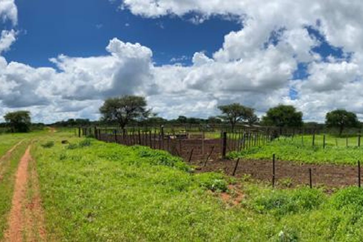 An exceptional opportunity to own a 1260 hectare game farm in the sought-after Hochfeld area – perfect for hunting, eco-tourism, or a private getaway. - Photo 3