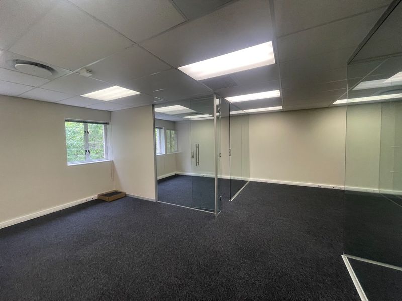 A vacant office space featuring glass partitioning, suspended ceilings with recessed lighting, and dark carpeting, offering a clean and professional work environment.