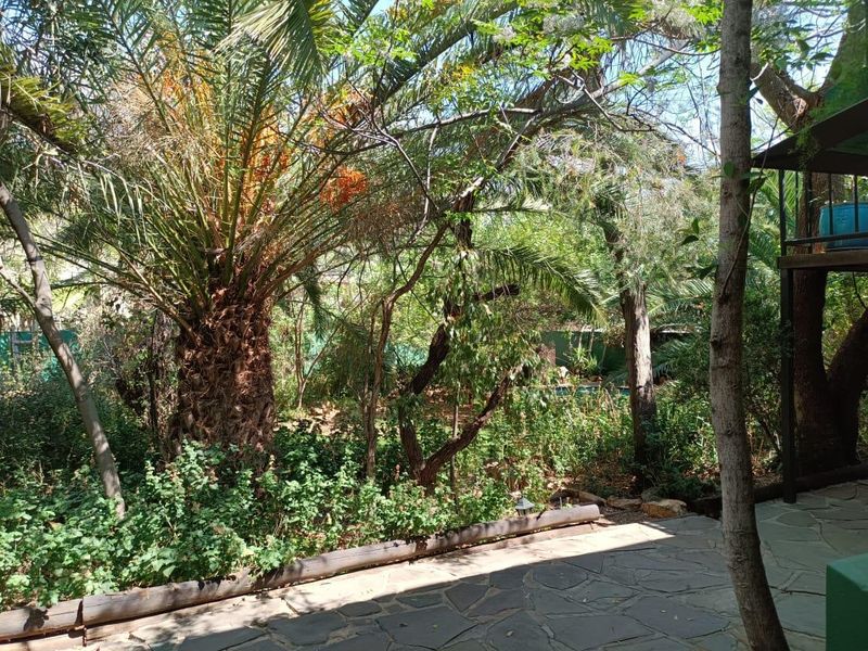 A lush, mature garden area featuring established palm trees and natural stone paving, providing a shaded and private outdoor setting.