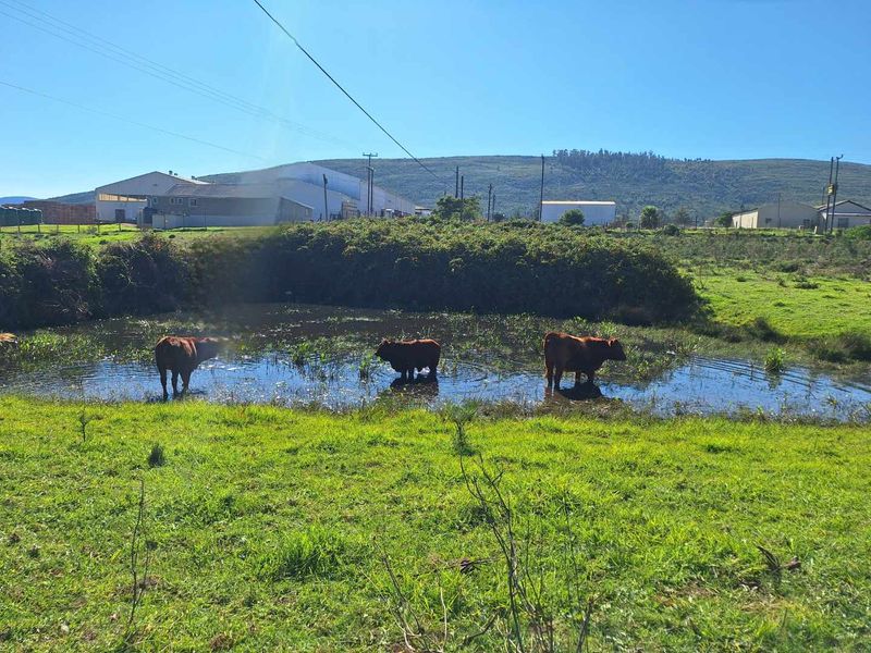 Somewhere Dreamy - Photo 7