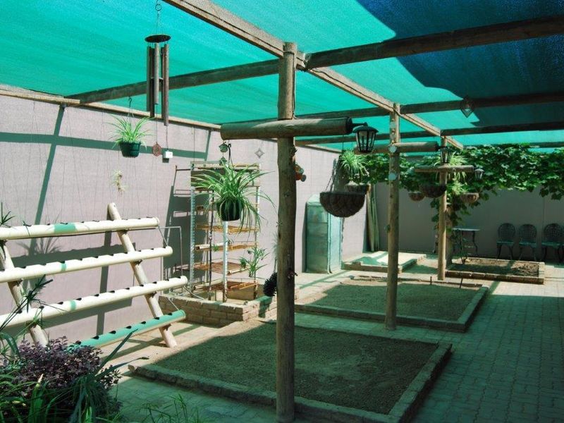 Entertainer's Dream Home in Henties Bay - Photo 6