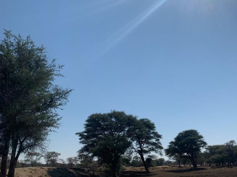 A scenic view of the farm landscape featuring a natural water source and mature indigenous trees under a clear sky.