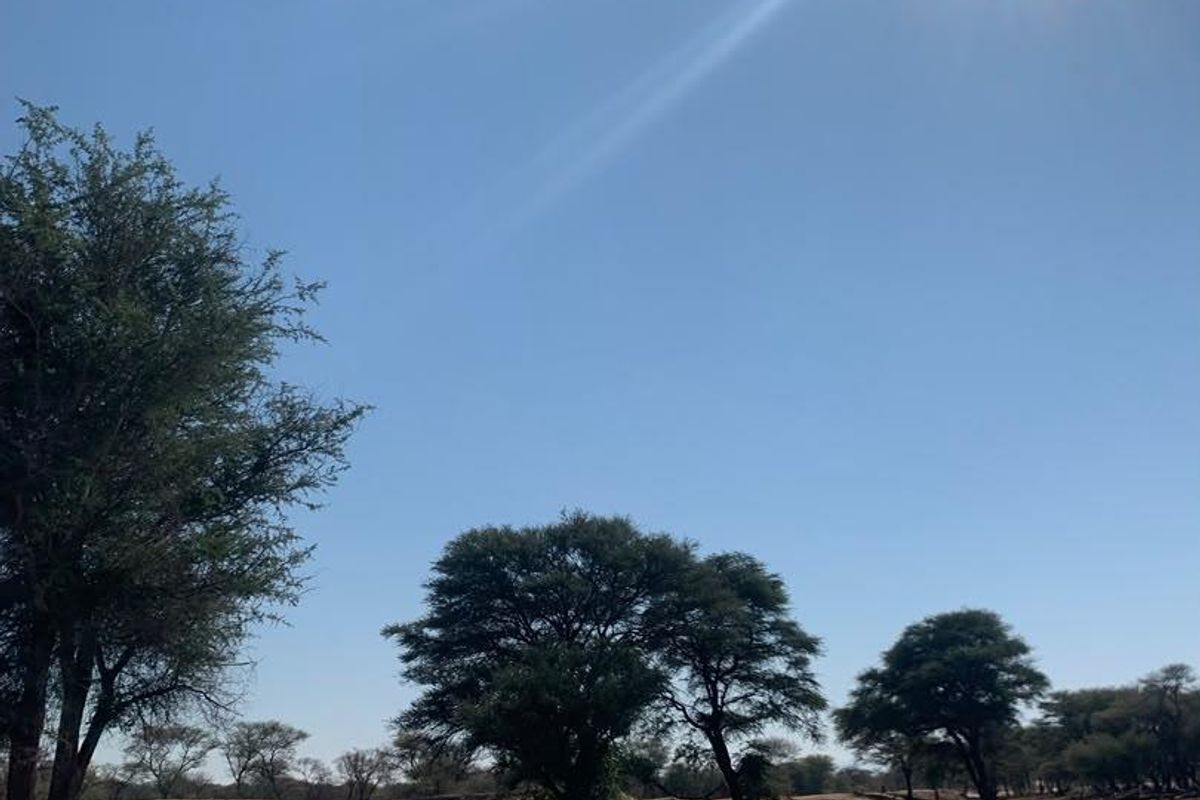 A scenic view of the farm landscape featuring a natural water source and mature indigenous trees under a clear sky.