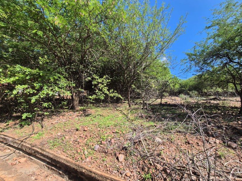 "Own a Slice of Paradise Next to Leeupoort's Greenbelt!" - Photo 8