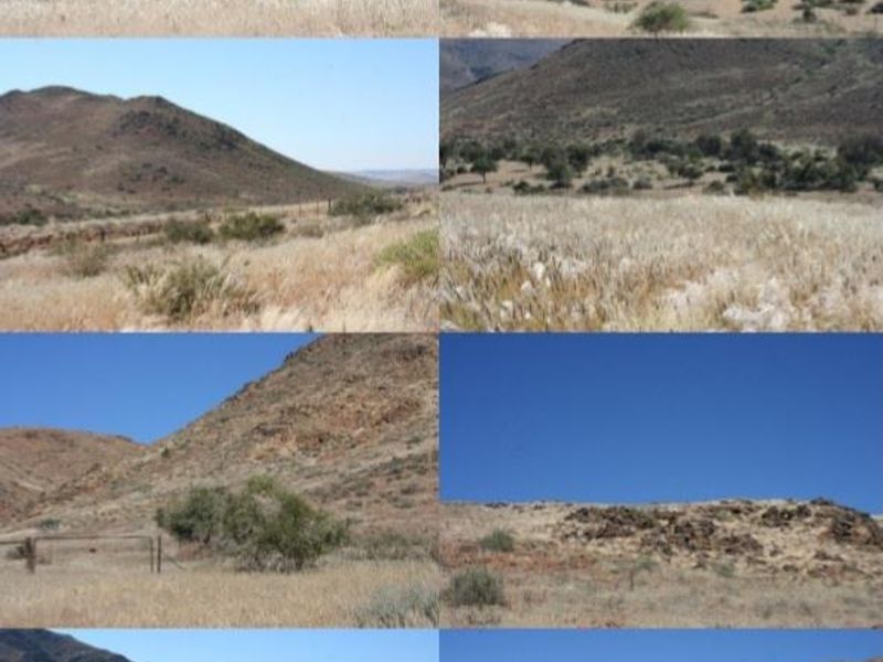 A collage of various landscape views showcasing the expansive, rugged terrain and natural topography of the farm property.