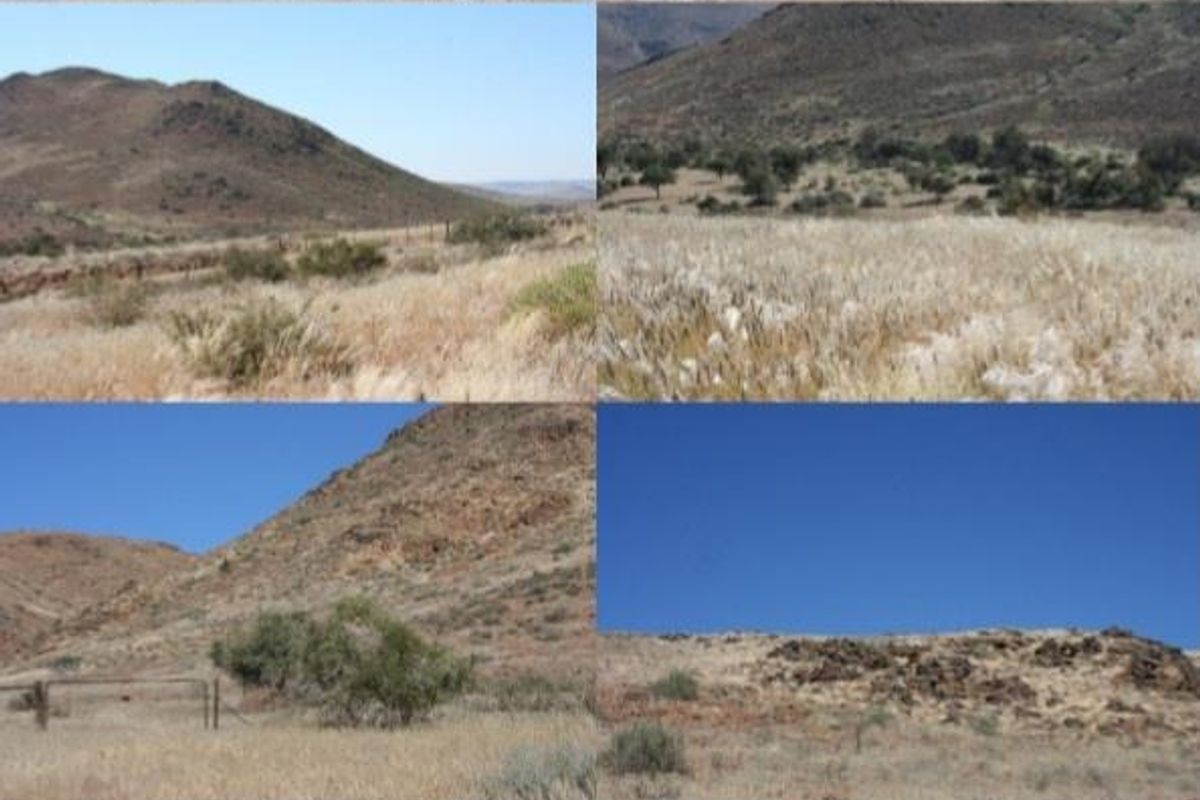 A collage of various landscape views showcasing the expansive, rugged terrain and natural topography of the farm property.