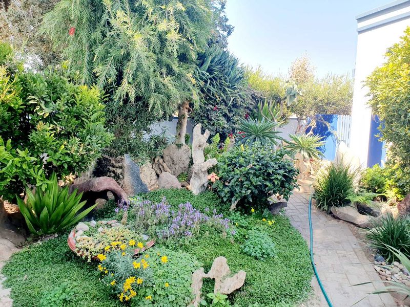 Here is a 520m2 spacious living house on a 1,056m2 erf. - Photo 2