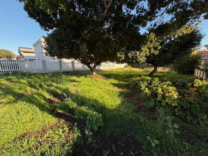 A residential garden area featuring mature trees, established garden beds, and a white picket fence boundary.