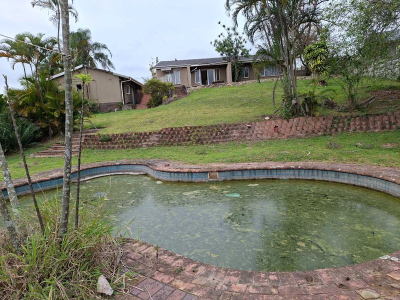 Rear view of the property featuring a large swimming pool with significant maintenance required, set within a sloped garden with brick retaining walls.