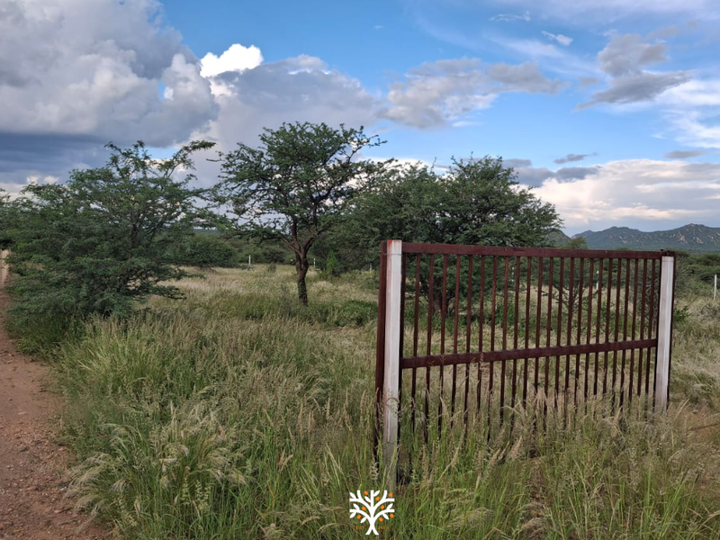 Camelthorn Estate | Vacant Erf with Approved Building Plans - Photo 3