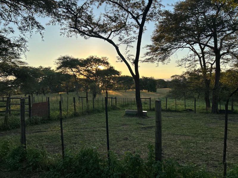 Rare 51ha Farm Jewel: A Versatile Opportunity with Prime Main Road Frontage - Photo 5