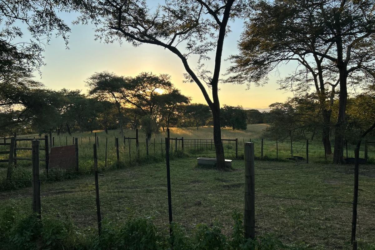 Rare 51ha Farm Jewel: A Versatile Opportunity with Prime Main Road Frontage - Photo 5