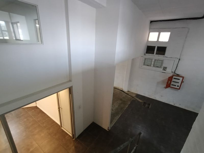 High Visibility | Prime Location | Move-In Ready – 259m2 - Photo 5