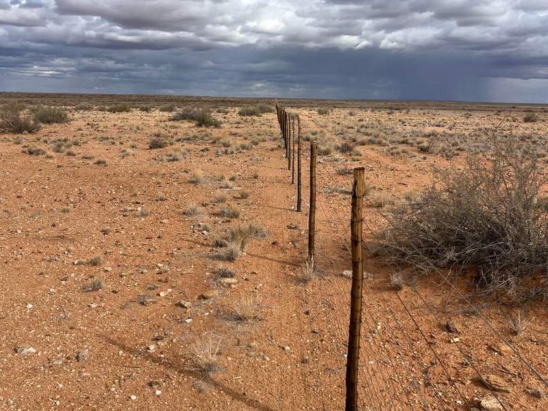 Boesmanland farm for sale near Kenhardt. - Photo 9