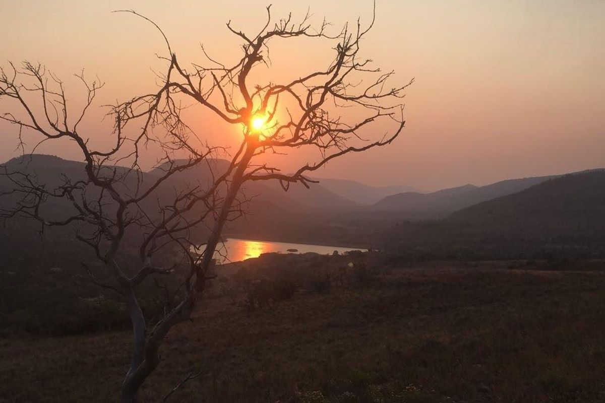 STUNNING GAME FARM FOR SALE IN OHRIGSTAD, LIMPOPO - Photo 2