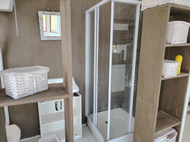 A compact bathroom featuring a shower enclosure and built-in shelving, currently requiring significant cosmetic updates and finishing to the walls and cabinetry.