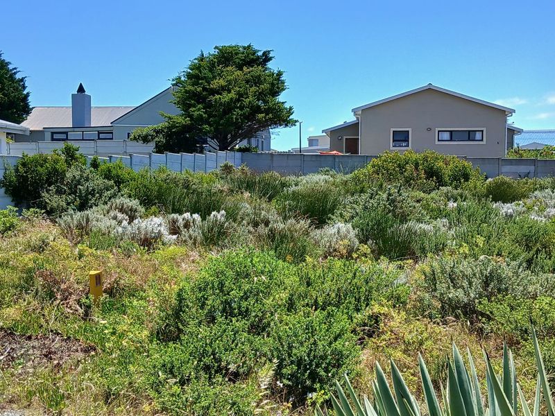 A vacant residential plot featuring established indigenous vegetation and a precast concrete boundary wall, situated in a developed neighborhood.