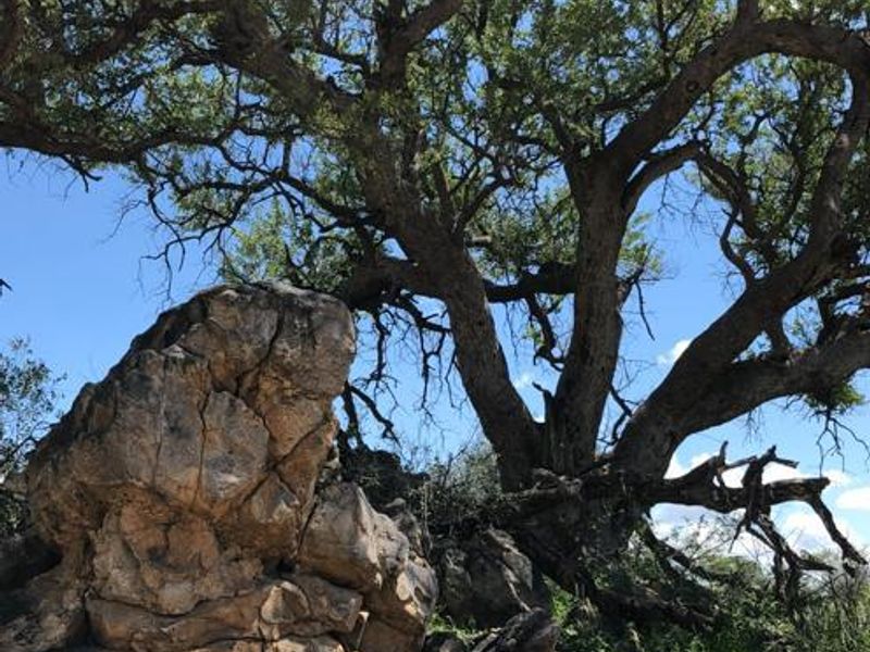 Large Game Farm close to the Erindi Game Reserve- 7900 HA - Photo 2