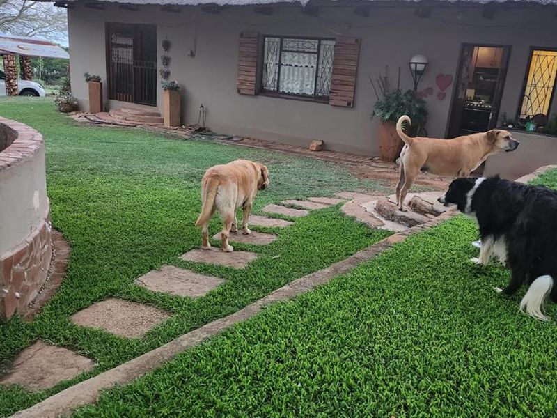 PLOT WITH TWO HOUSES AND FLAT FOR SALE-GROENKLOOF MOOINOOI - Photo 9