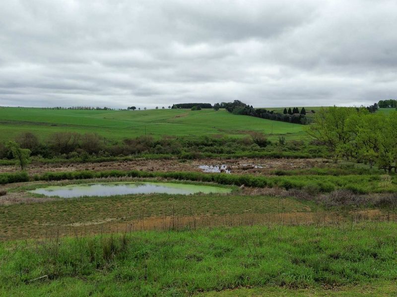 A scenic view of the vacant residential land featuring natural grassland, rolling hills, and a small pond under an overcast sky.