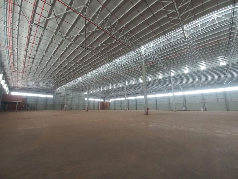 11 972m2 Louwlardia Warehouse To Let - Photo 6