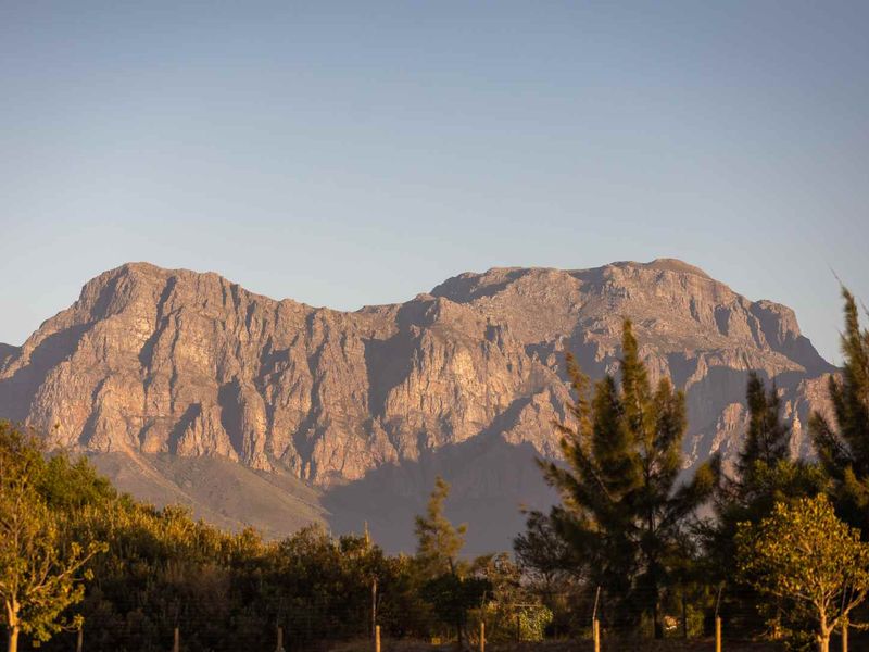 An Exceptional New Three-Bedroom Home set in Paarl Valleij Lifestyle Estate & Farm - Photo 7