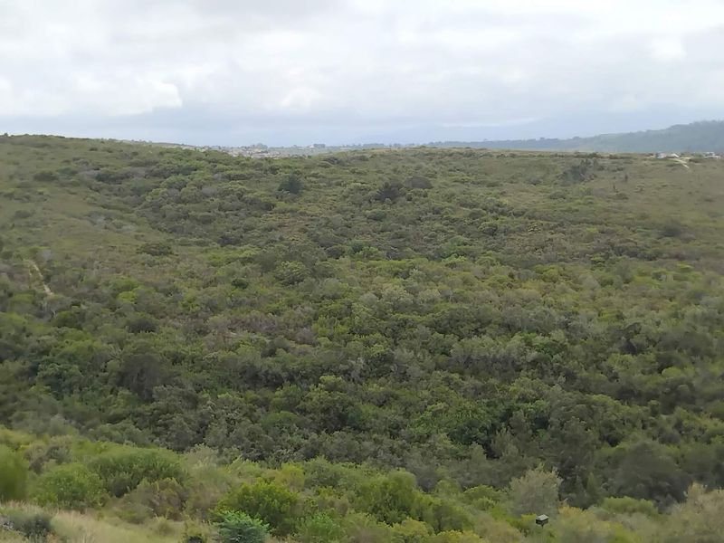 Prime North-Facing Vacant Land in Prestigious Estate** - Photo 4