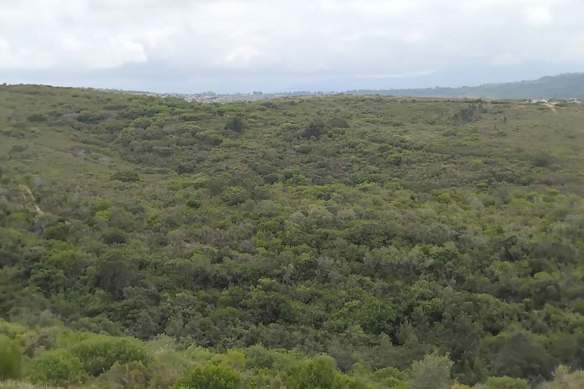 Prime North-Facing Vacant Land in Prestigious Estate** - Photo 4