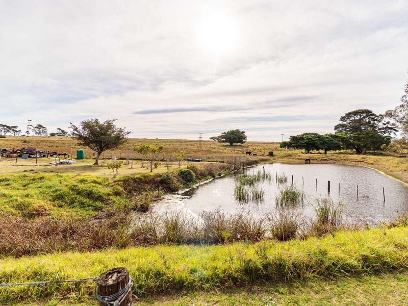 Beautiful 21 ha Farm for Sale - A Rare Opportunity - Photo 9
