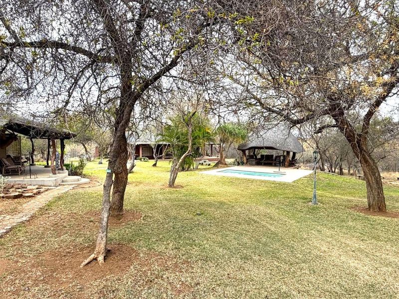 Spacious garden area featuring a swimming pool, a thatched lapa, and a covered patio, set within a mature, tree-lined landscape.