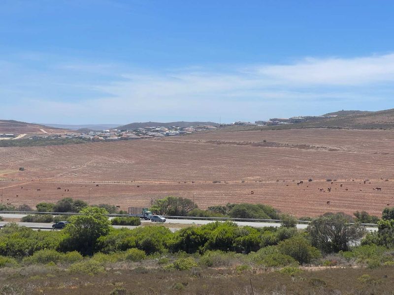 788m2 Vacant Stand For Sale in Hartland Lifestyle Estate - Exclusive Opportunity - Photo 5