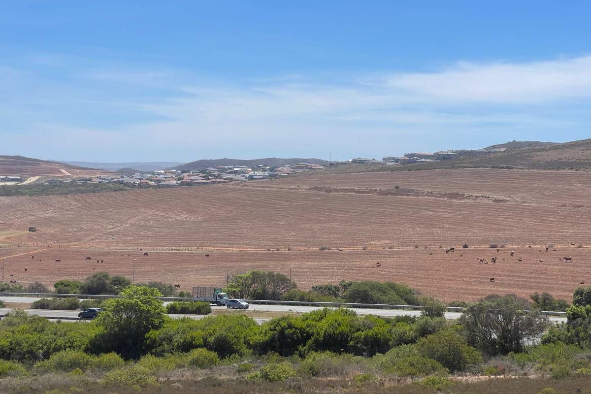 788m2 Vacant Stand For Sale in Hartland Lifestyle Estate - Exclusive Opportunity - Photo 5