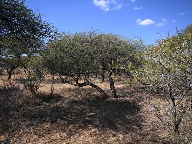 DEVELOP YOUR DREAM RETREAT IN SHONA LANGA RESORT - Photo 8