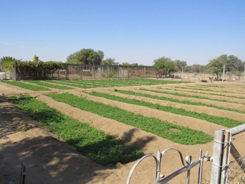 Egg - cellent Investment Opportunity! - Photo 9