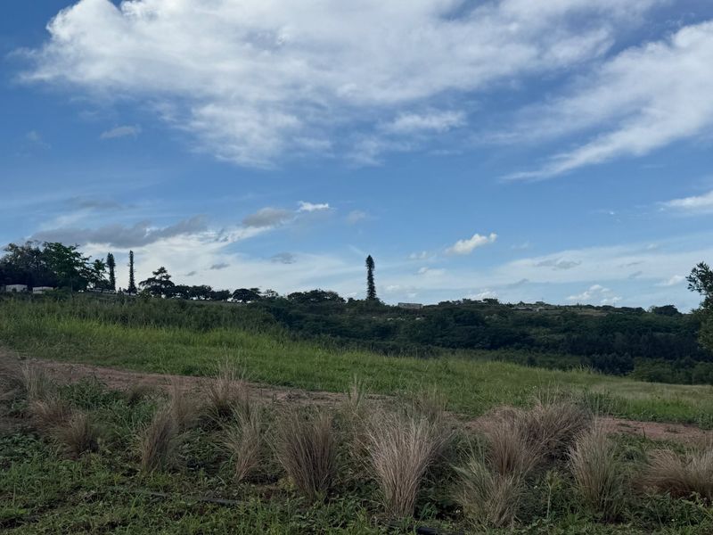 A scenic view of the vacant residential land featuring rolling grassy terrain and natural vegetation under a bright blue sky.