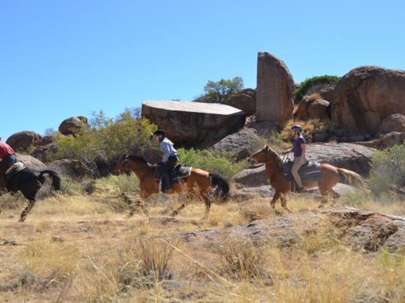 Guest Farm for Sale below Valuation - Photo 3