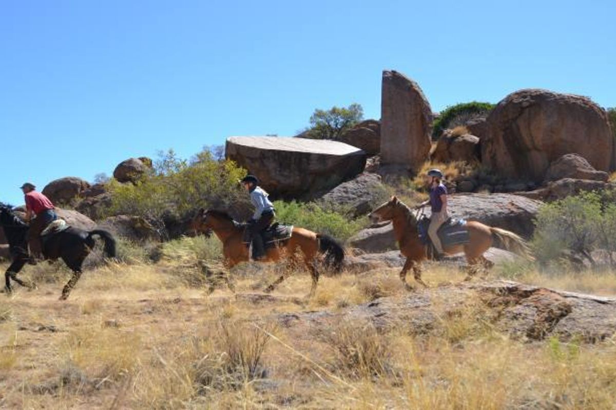 Guest Farm for Sale below Valuation - Photo 3