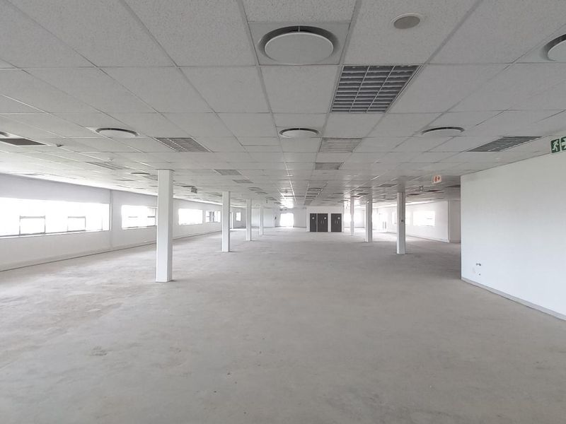 A spacious, open-plan office area featuring a suspended ceiling, recessed lighting, support columns, and large windows providing ample natural light.