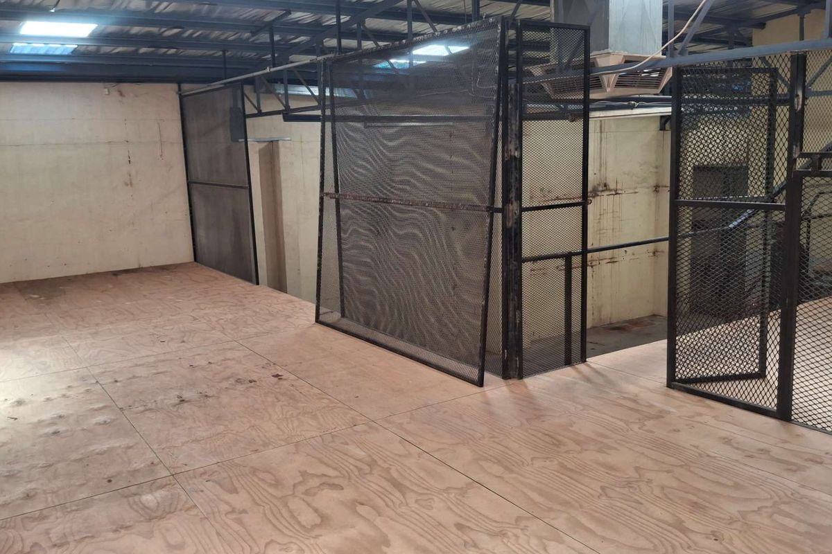 Warehouse for sale - Prosperita - Photo 3