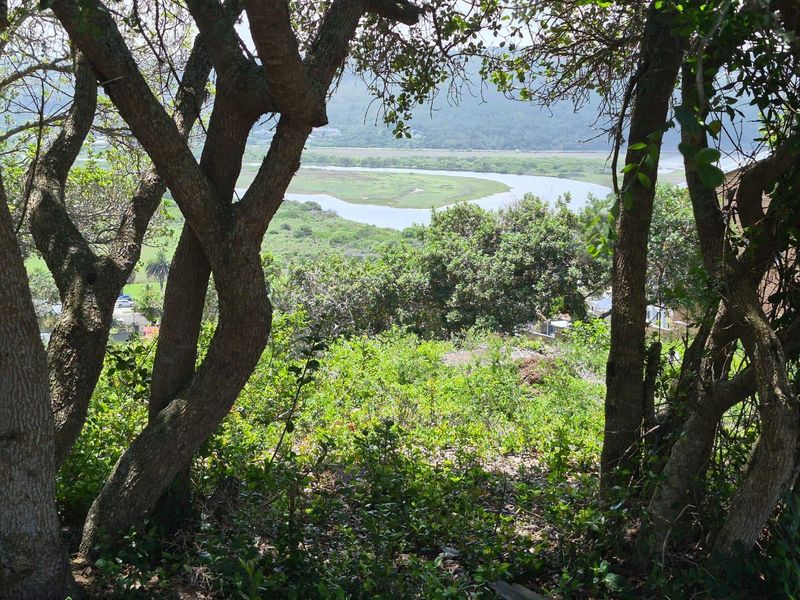 Prime Location: Expansive 1,075m2 Stand in Bergsig, Groot Brak River - Photo 7