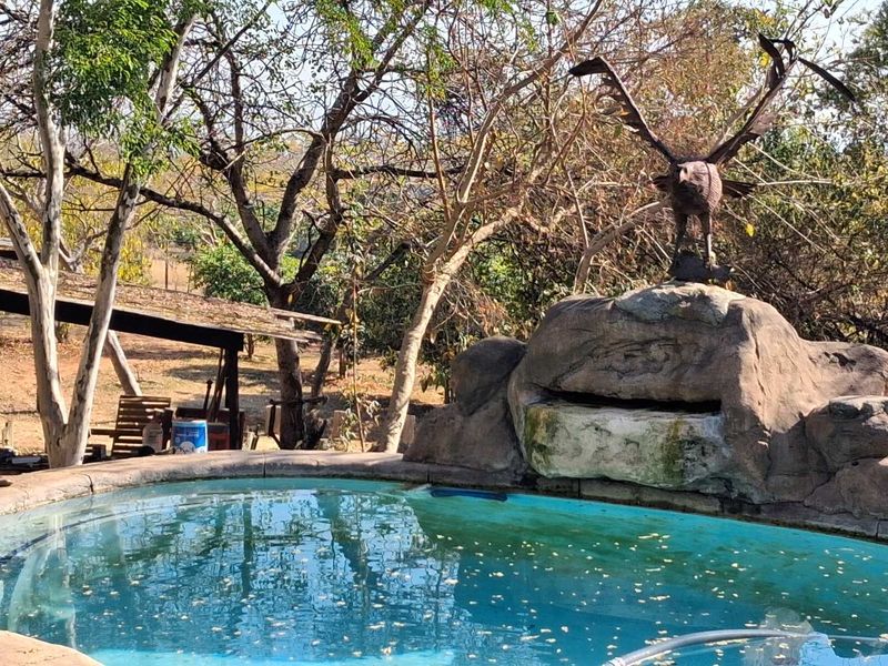 Outdoor swimming pool area featuring a decorative rock water feature with a bird sculpture, set within a natural garden environment.
