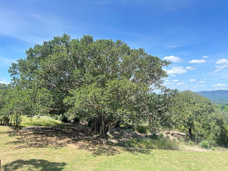 Bushveld Lifestyle Farm - Photo 3