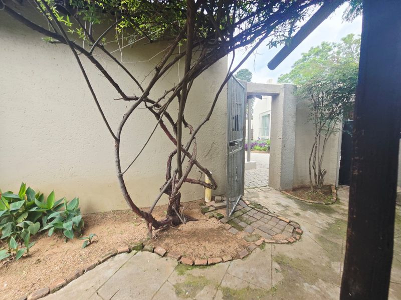 A rear courtyard area featuring a paved walkway, metal security gate, and established garden elements against a stucco wall.