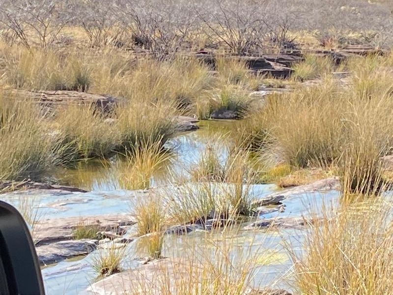 Rural Elegance: 7,749-Hectare Livestock Farm with Comprehensive Improvements - Photo 3