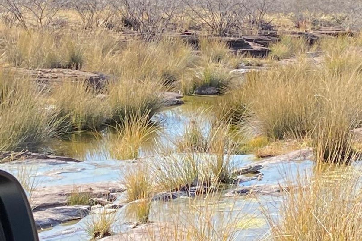 Rural Elegance: 7,749-Hectare Livestock Farm with Comprehensive Improvements - Photo 3