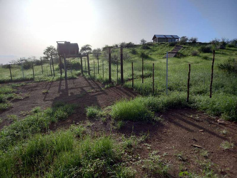 Farm For Sale - Photo 3