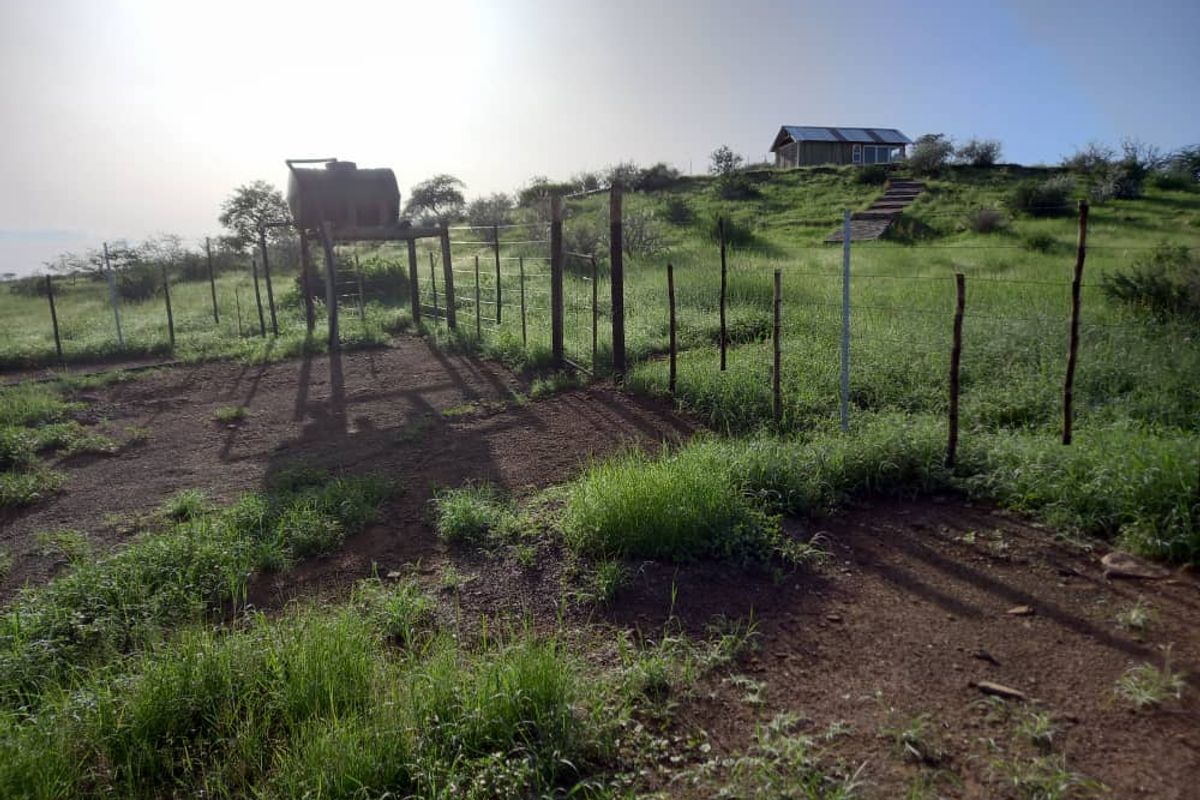 Farm For Sale - Photo 3