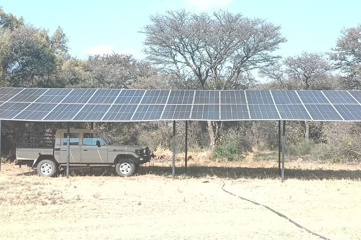 DEVELOPED SMALL GAME/SHEEP AND CATTLE FARM. CHALETS/REASTAURANT - Photo 5